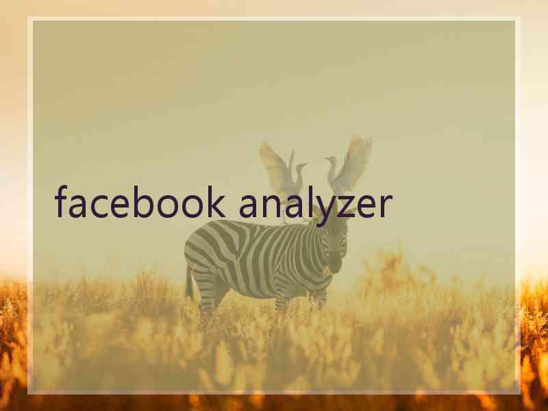 facebook analyzer