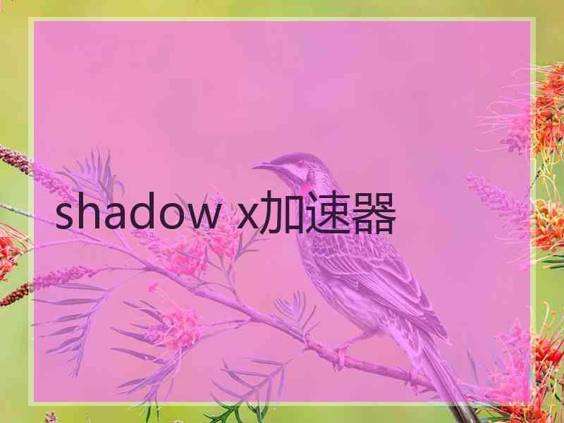 shadow x加速器