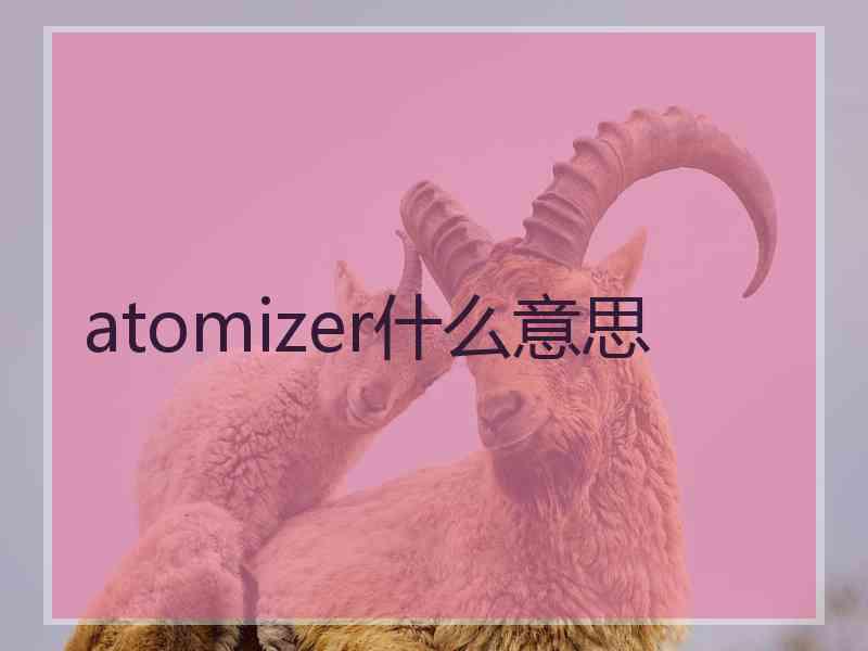 atomizer什么意思