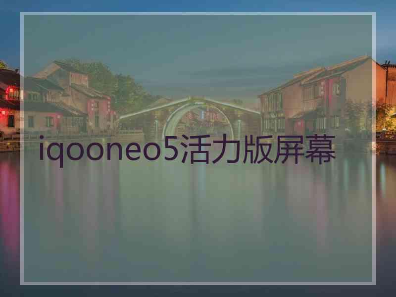 iqooneo5活力版屏幕