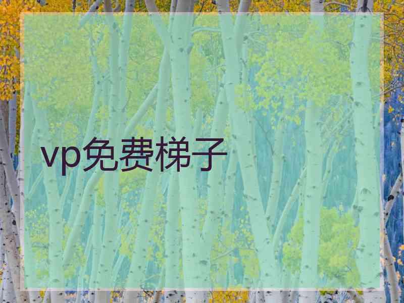 vp免费梯子