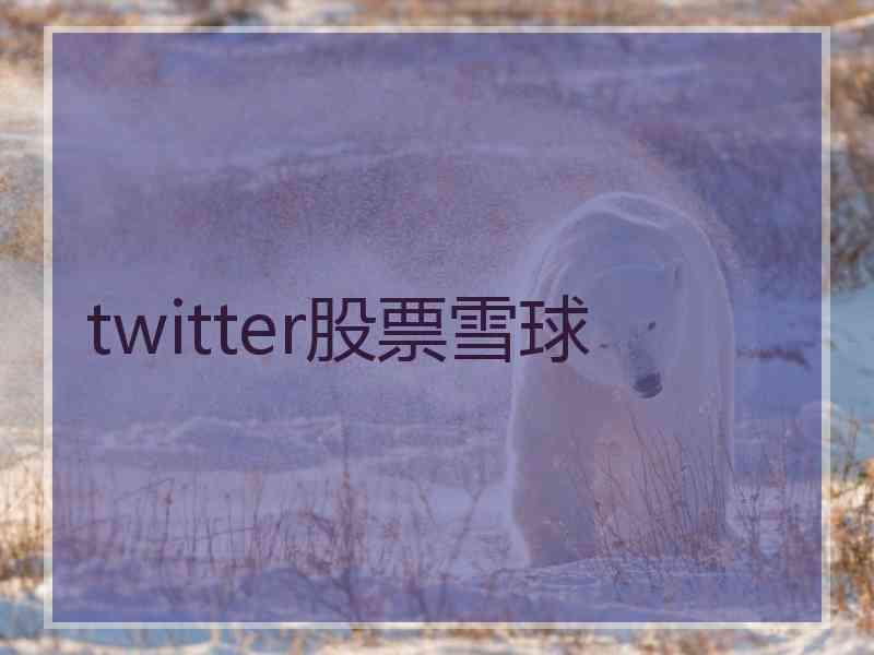 twitter股票雪球