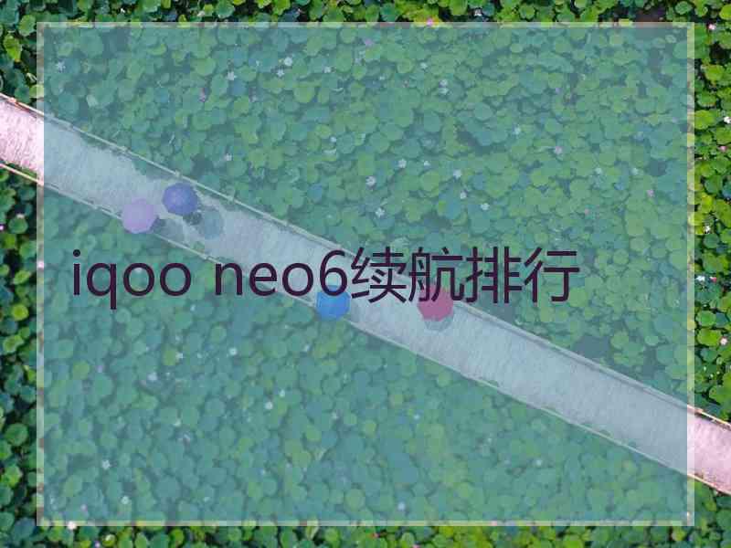 iqoo neo6续航排行