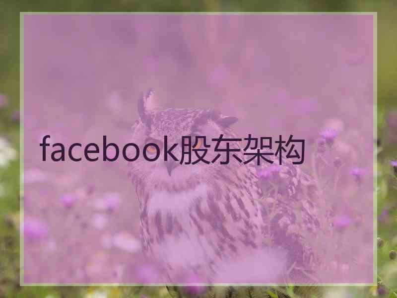 facebook股东架构