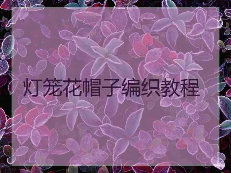 灯笼花帽子编织教程