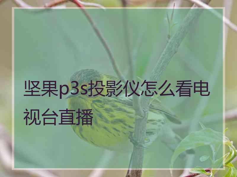 坚果p3s投影仪怎么看电视台直播