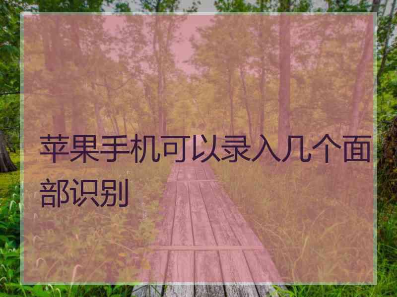 苹果手机可以录入几个面部识别