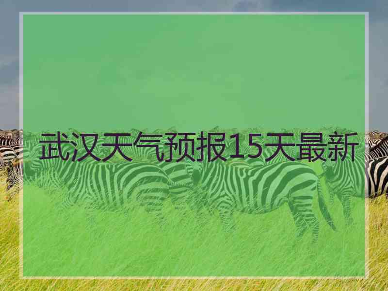 武汉天气预报15天最新
