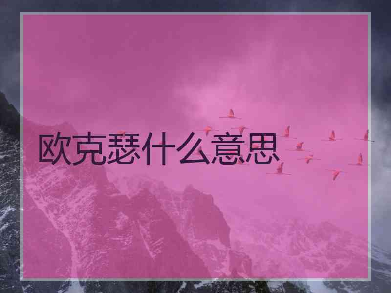 欧克瑟什么意思