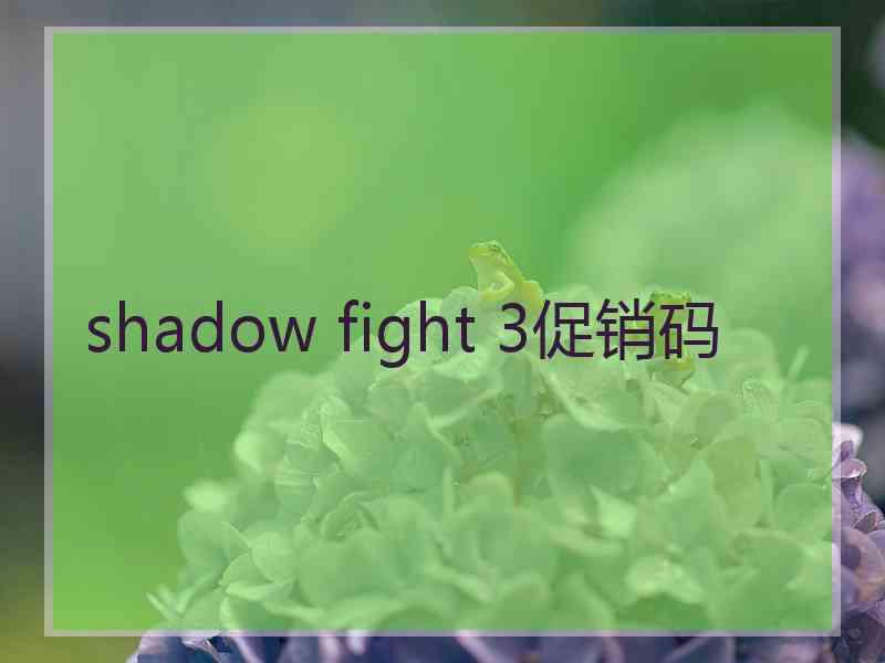 shadow fight 3促销码