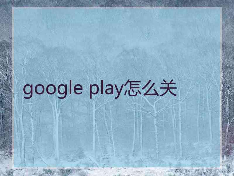 google play怎么关