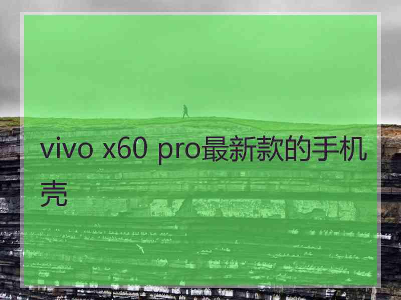 vivo x60 pro最新款的手机壳