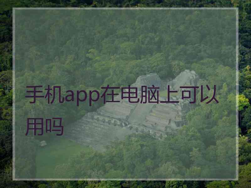 手机app在电脑上可以用吗