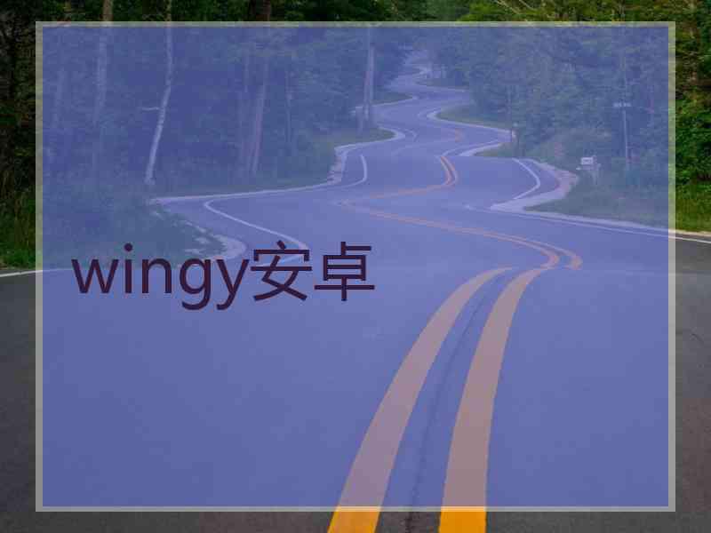 wingy安卓