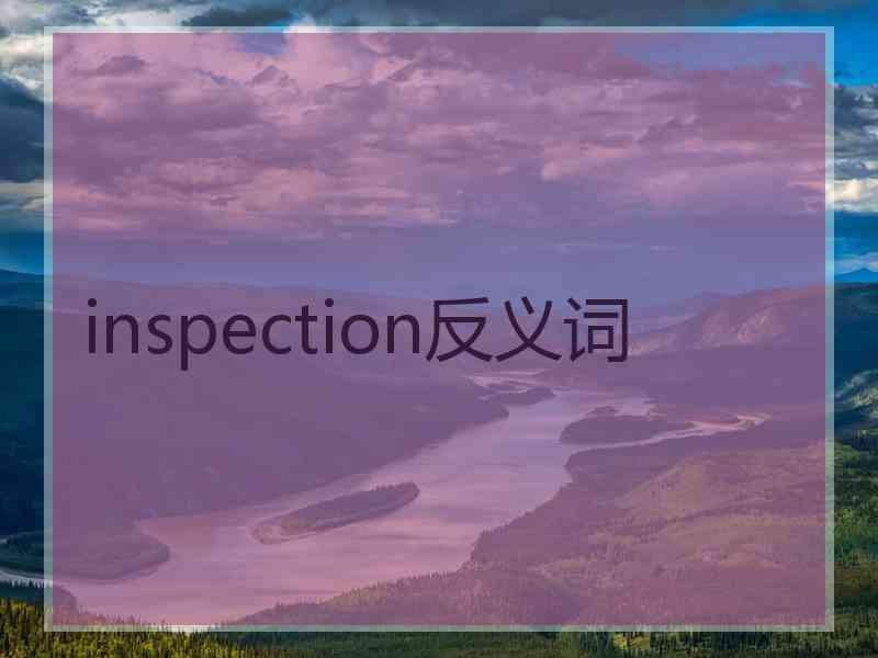 inspection反义词