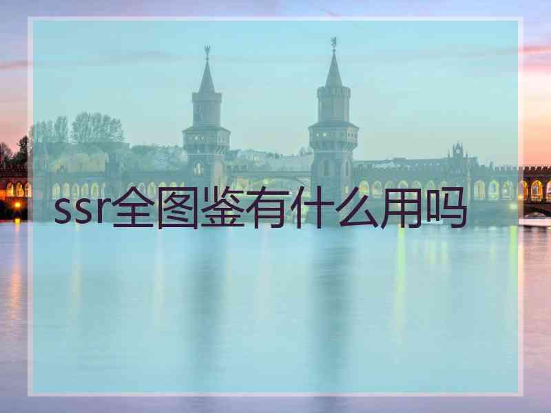 ssr全图鉴有什么用吗