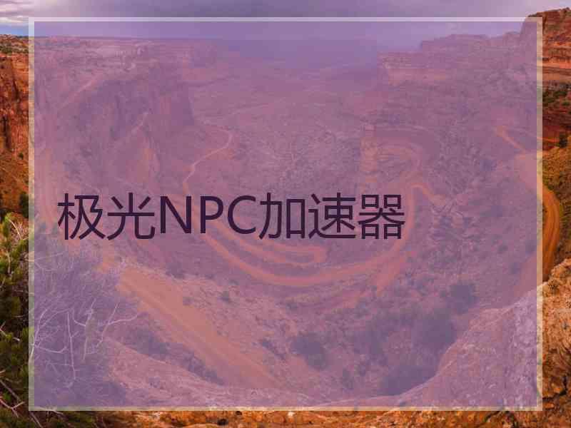 极光NPC加速器