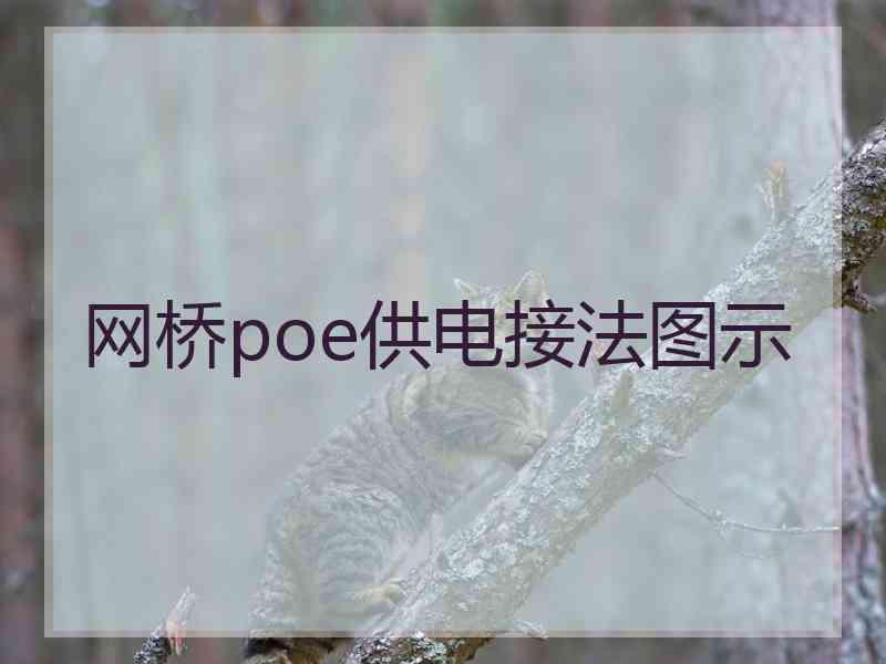 网桥poe供电接法图示