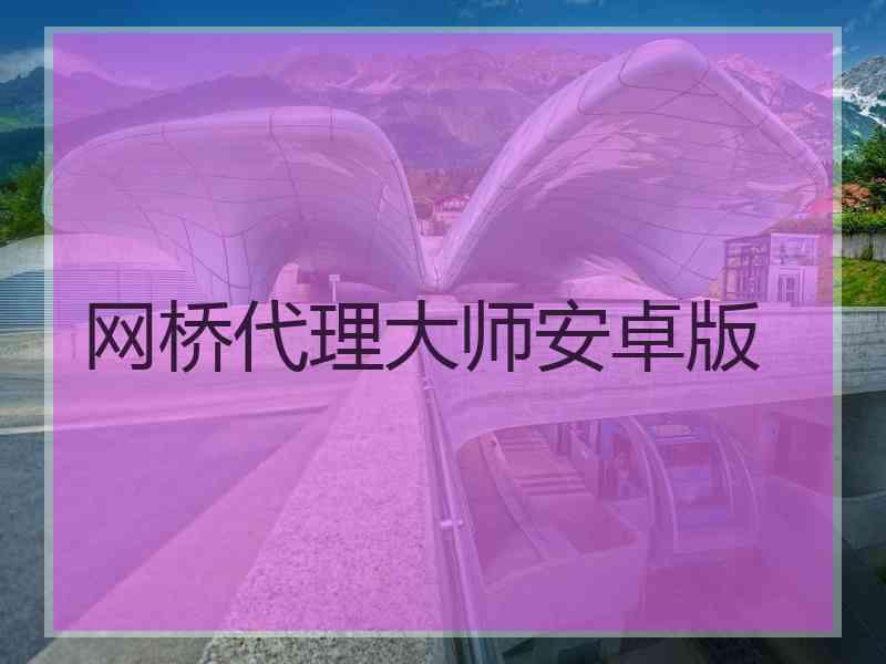 网桥代理大师安卓版