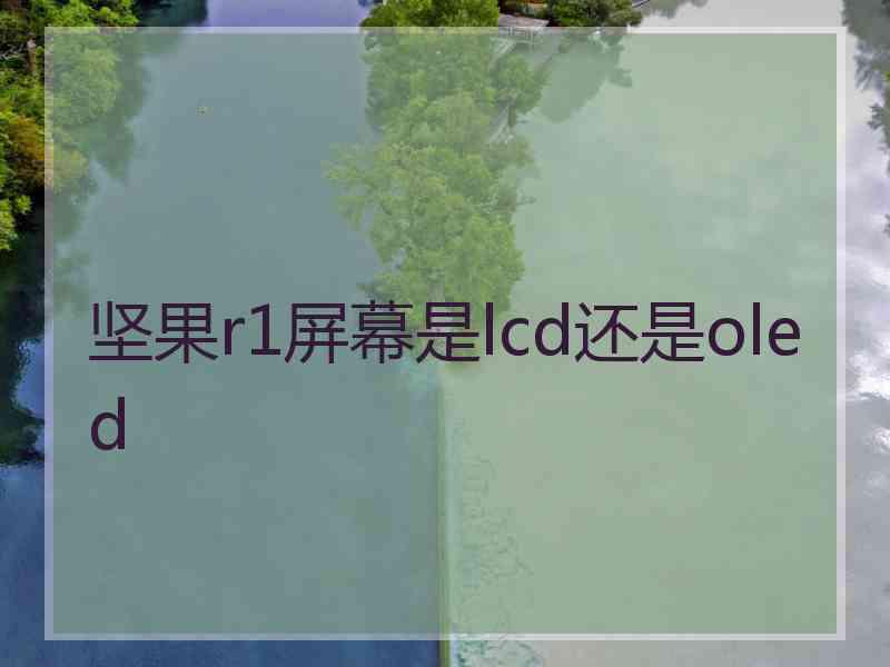 坚果r1屏幕是lcd还是oled