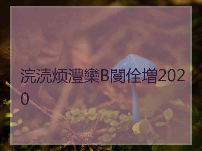 浣涜烦澧欒В閿佺増2020