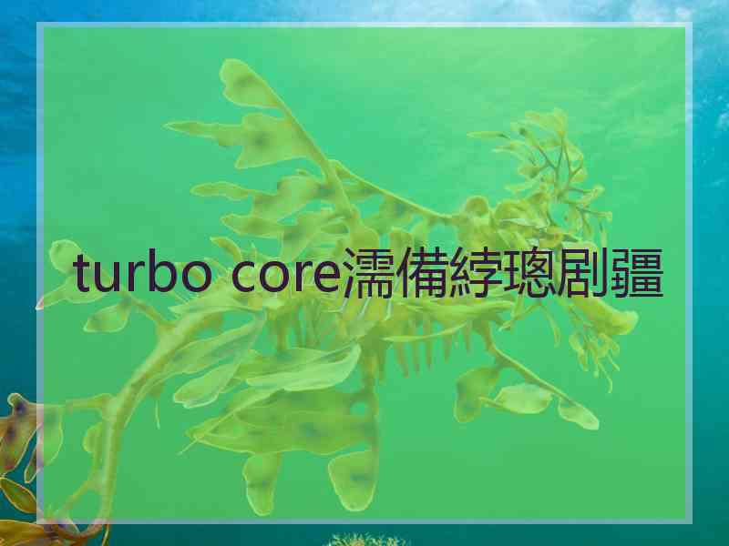 turbo core濡備綍璁剧疆