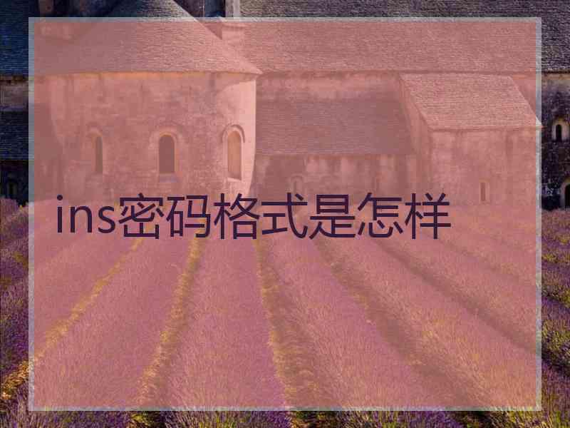 ins密码格式是怎样