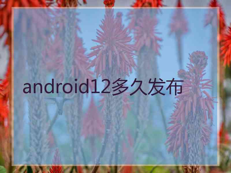 android12多久发布