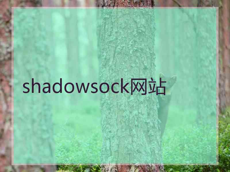 shadowsock网站