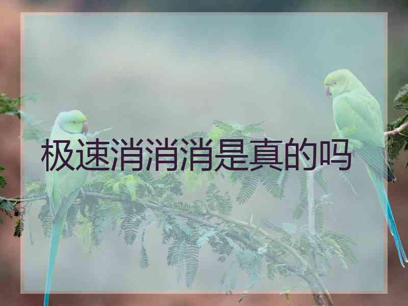 极速消消消是真的吗