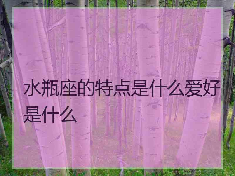 水瓶座的特点是什么爱好是什么