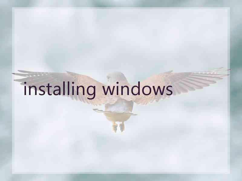 installing windows