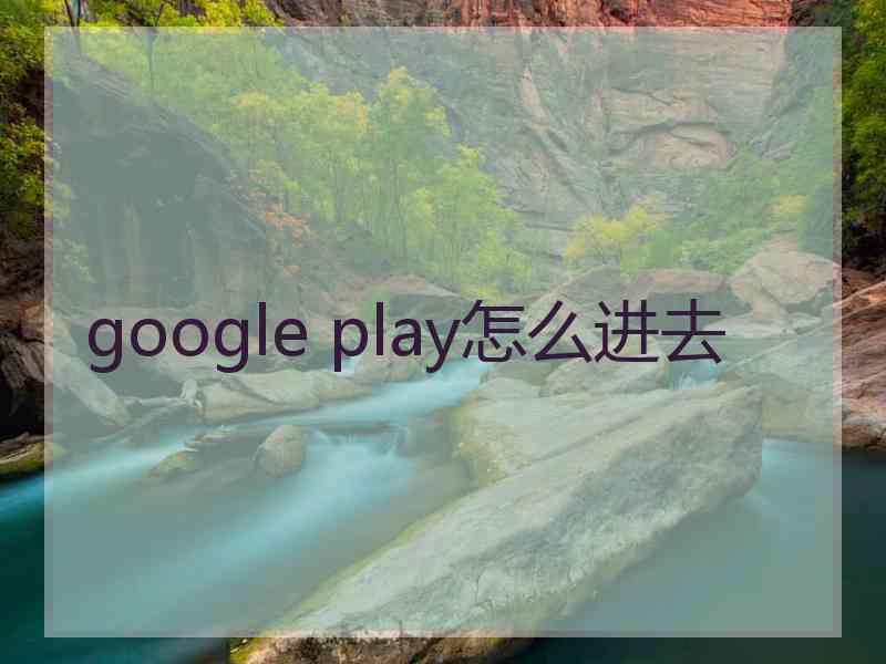 google play怎么进去