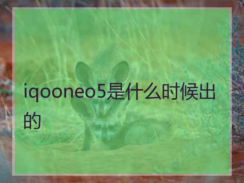 iqooneo5是什么时候出的