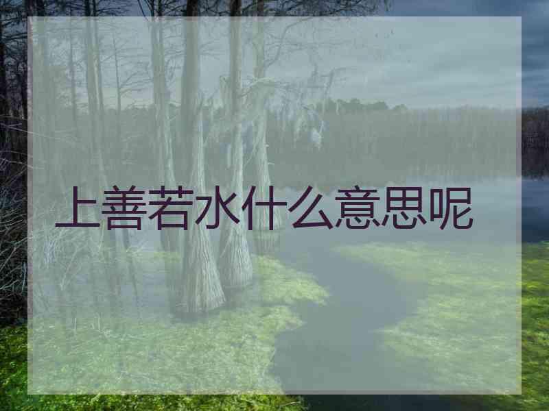 上善若水什么意思呢