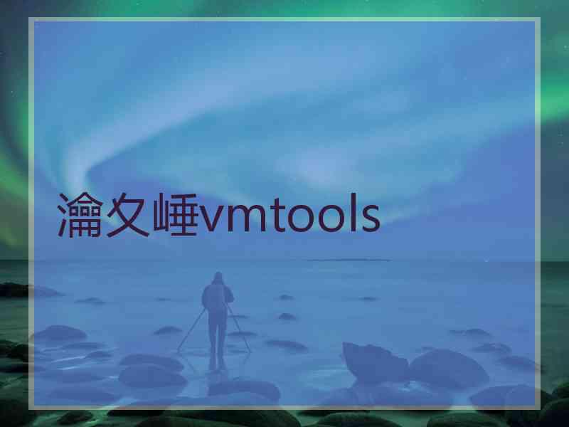 瀹夊崜vmtools