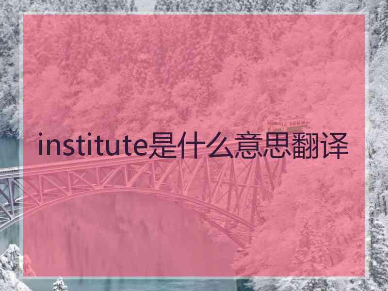 institute是什么意思翻译