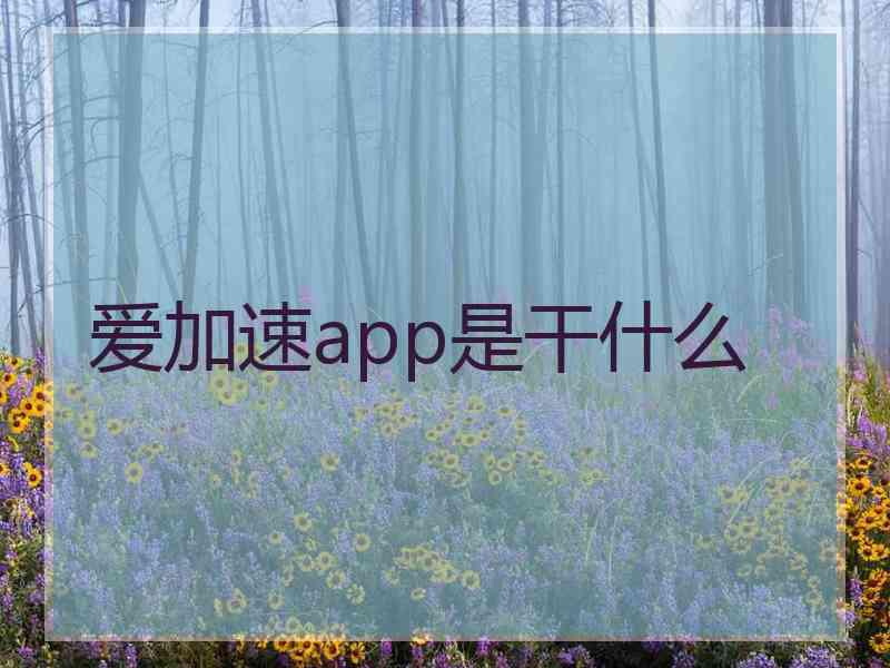 爱加速app是干什么