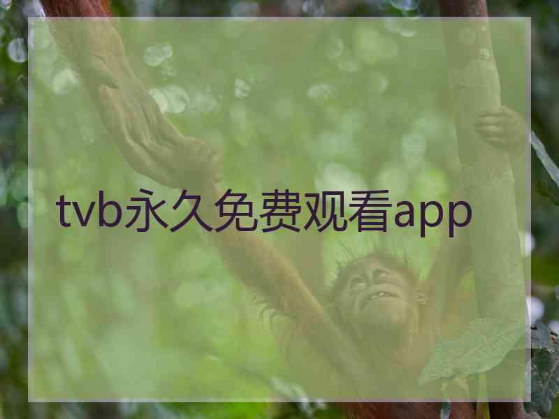 tvb永久免费观看app