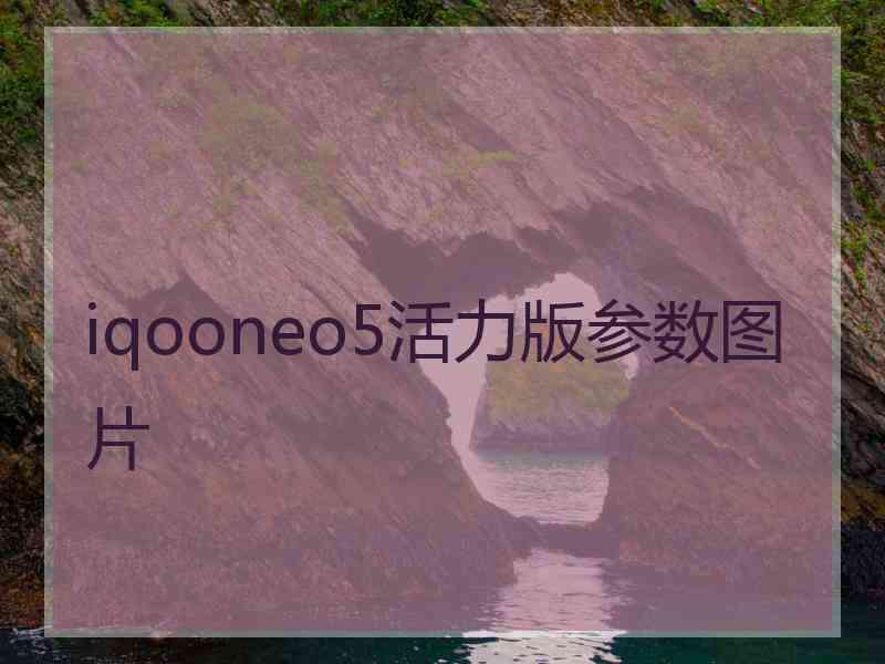 iqooneo5活力版参数图片