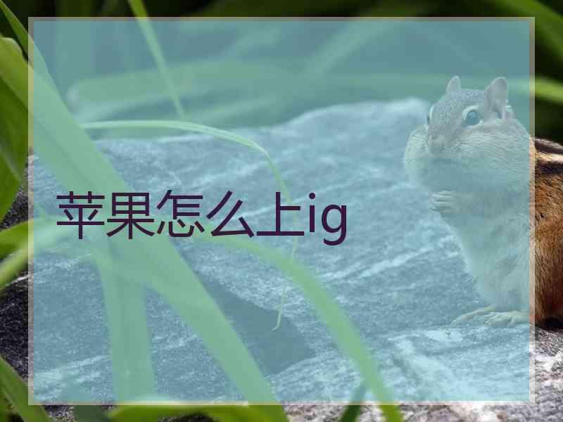 苹果怎么上ig