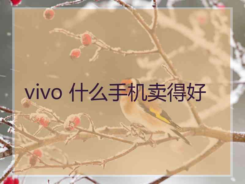 vivo 什么手机卖得好