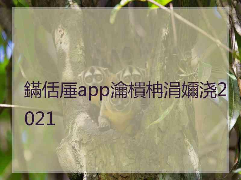 鏋佸厜app瀹樻柟涓嬭浇2021