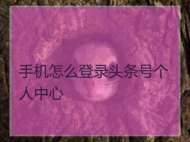 手机怎么登录头条号个人中心