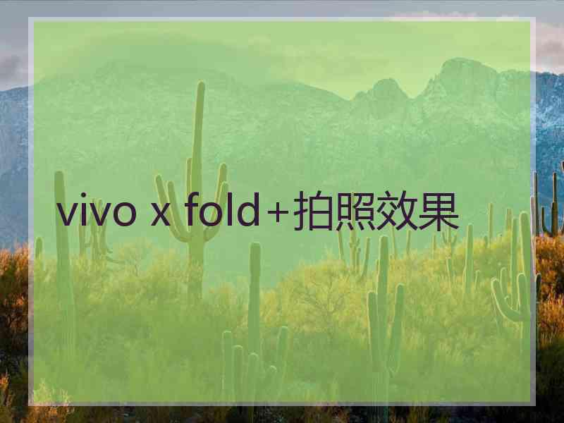 vivo x fold+拍照效果