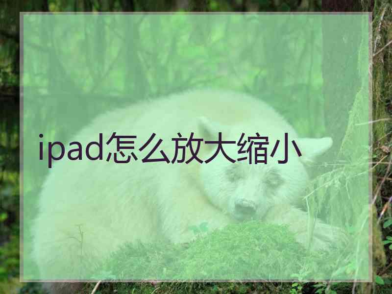 ipad怎么放大缩小