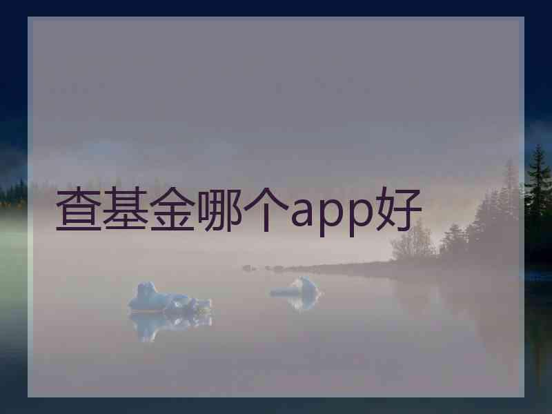 查基金哪个app好