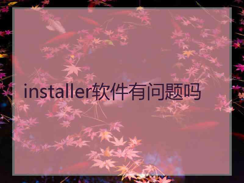 installer软件有问题吗