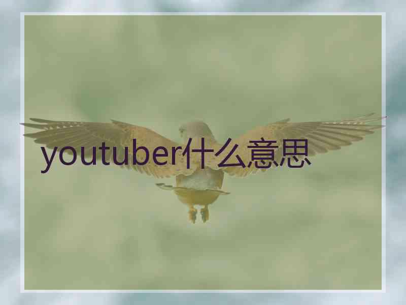 youtuber什么意思