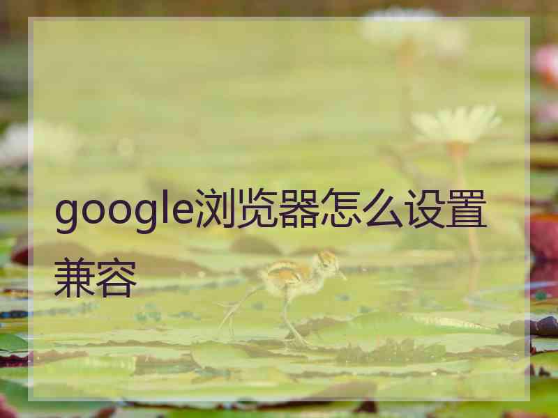 google浏览器怎么设置兼容